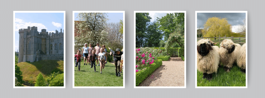 Museums and history of West Sussex